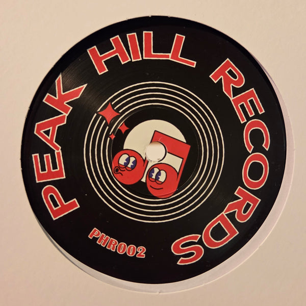 SUBODINI & MADIMUS 'TRANSMITTING FROM THE HILL VOL.2' 12"