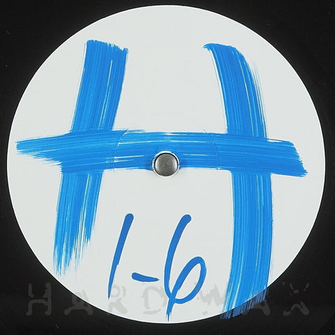 HOOVER1 'WHAT YOU WANT' 12"