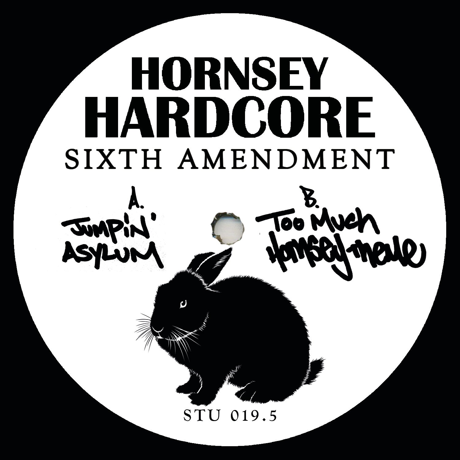 Hornsey Hardcore 'Sixth Amendment' 12"
