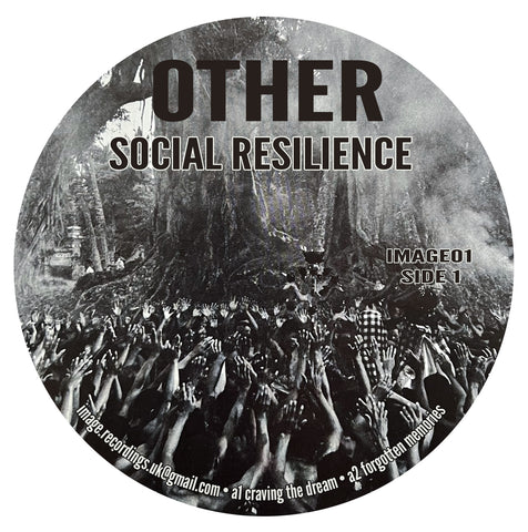OTHER 'SOCIAL RESILIENCE' 12"