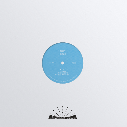 *PRE-ORDER* SULLY 'FLOCK' 12" (2025 REPRESS)