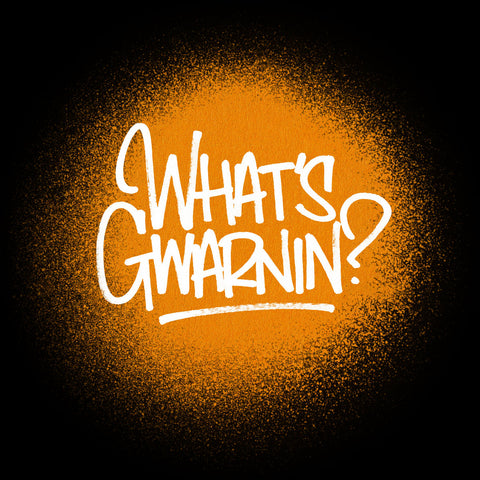 *PRE-ORDER* FRACTURE FT. MIGHTY MOE 'WHAT'S GWARNIN' 12"