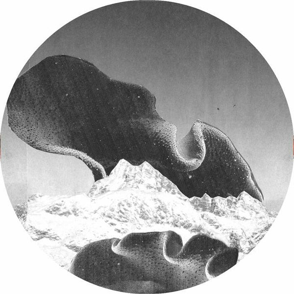 *PRE-ORDER* VARIOUS 'STEPFAMILY' 12"