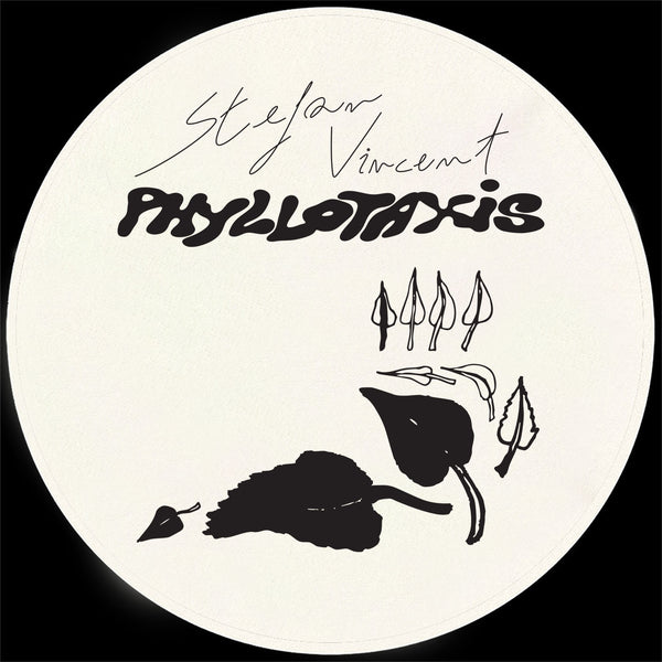 STEFAN VINCENT 'PHYLLOTAXIS' 12"