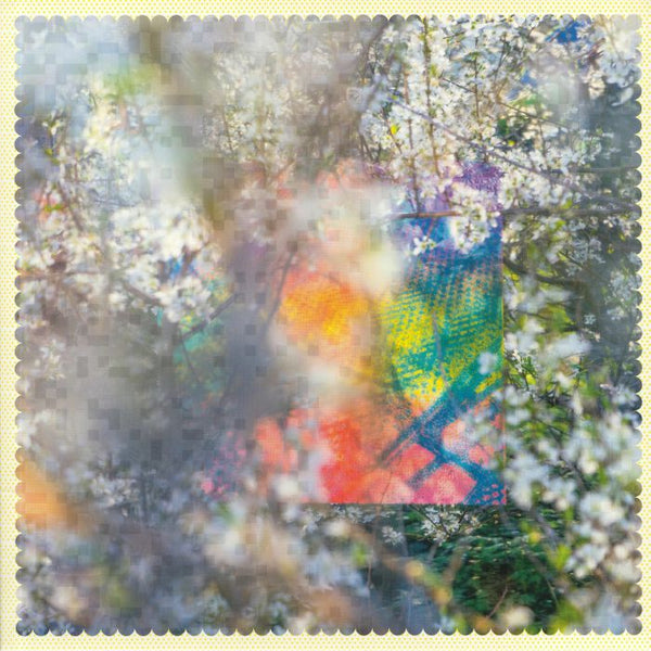 FOUR TET 'SIXTEEN OCEANS (2026 REPRESS)' 2LP