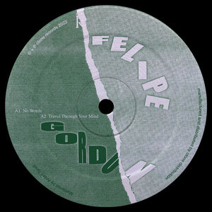 FELIPE GORDON 'NO WORDS / BYRON THE AQUARIUS RMX' 12"