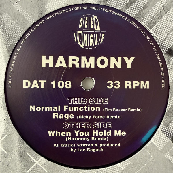 HARMONY 'WHEN YOU HOLD ME' 12"