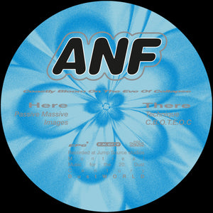 *PRE-ORDER* ANF 'Costly Blooms On The Eve Of Collapse' 12"