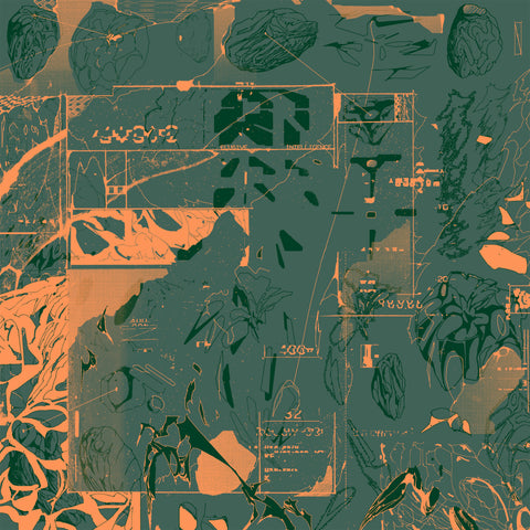 *PRE-ORDER* DARREN NYE 'VOYAGE OF LIGHT' 2LP