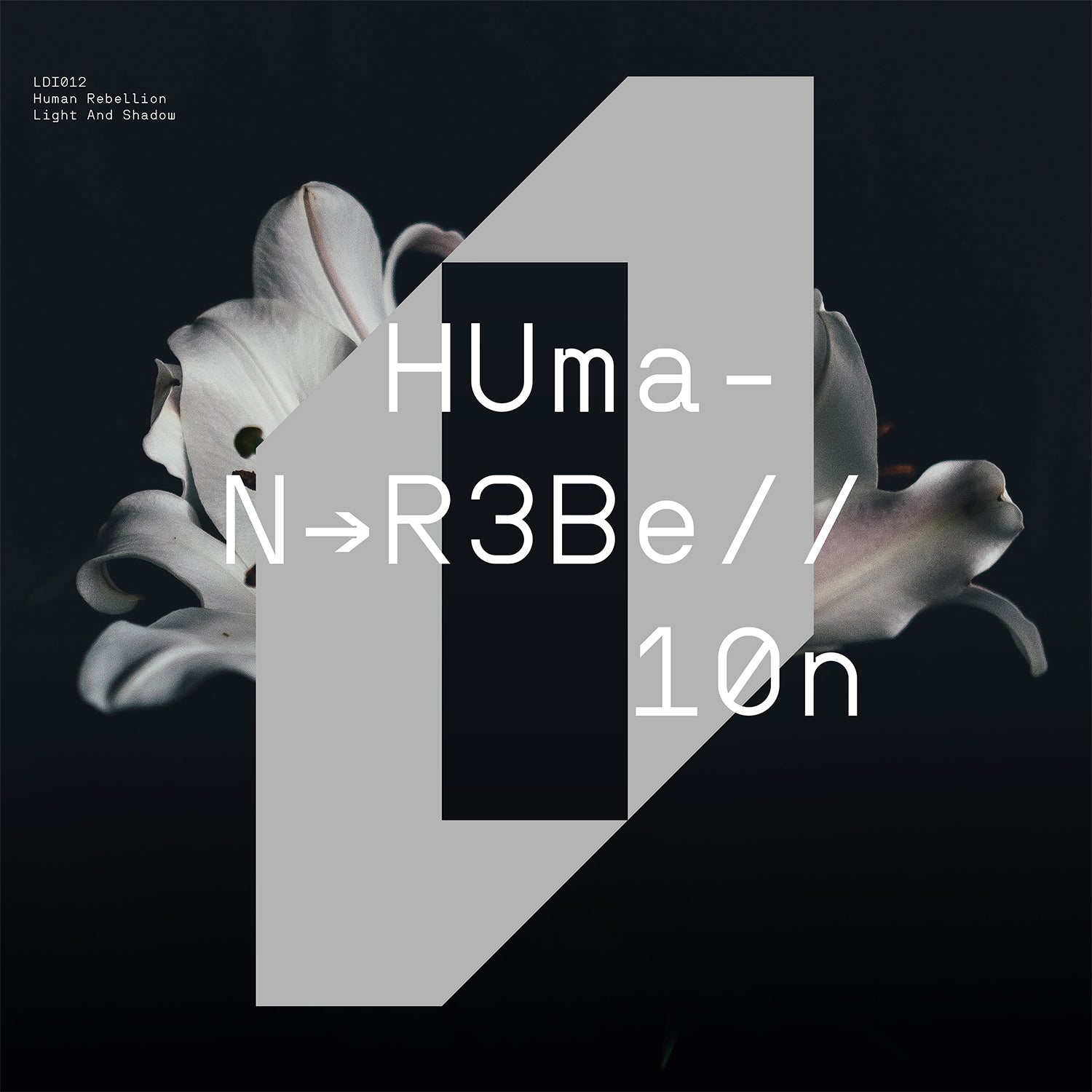 HUMAN REBELLION 'LIGHT AND SHADOW' 12"