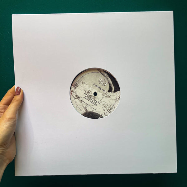 VARIOUS 'STEPFAMILY' 12"