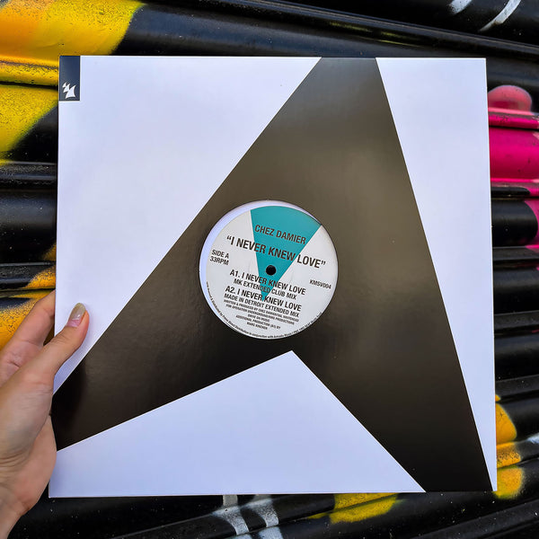 CHEZ DAMIER 'I NEVER KNEW LOVE' 12"
