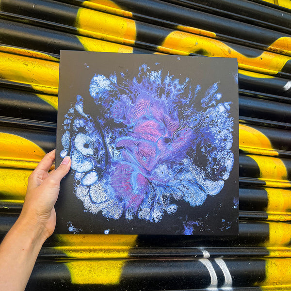 MA SHA 'HEXACORALLIA' 12"