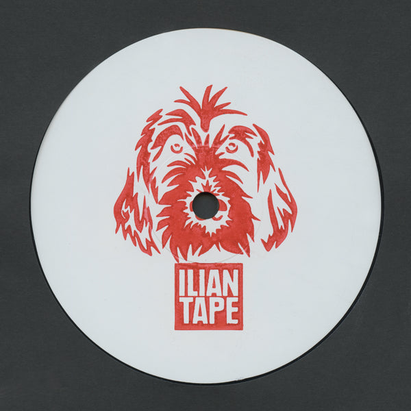 RE:NI & BIGGABUSH 'BASS IS THE SPACE' 12"