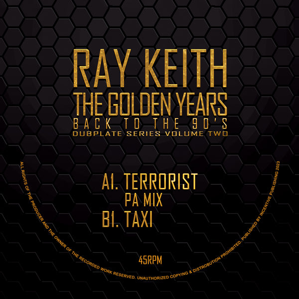 RENEGADE 'TERRORIST' 12"