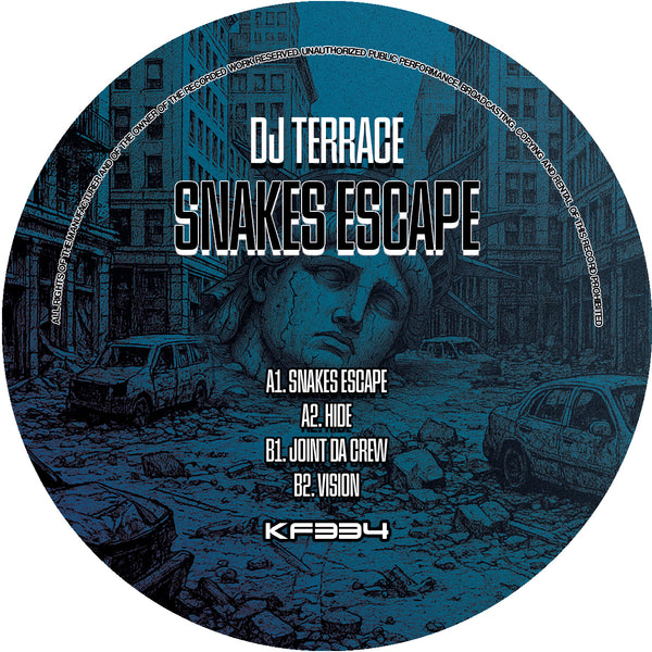 *PRE-ORDER* DJ TERRACE 'SNAKES ESCAPE' 12"