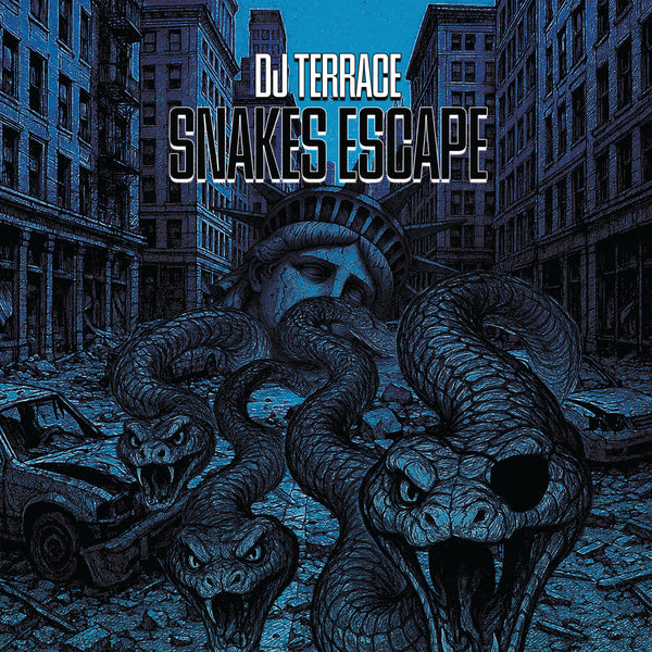 *PRE-ORDER* DJ TERRACE 'SNAKES ESCAPE' 12"