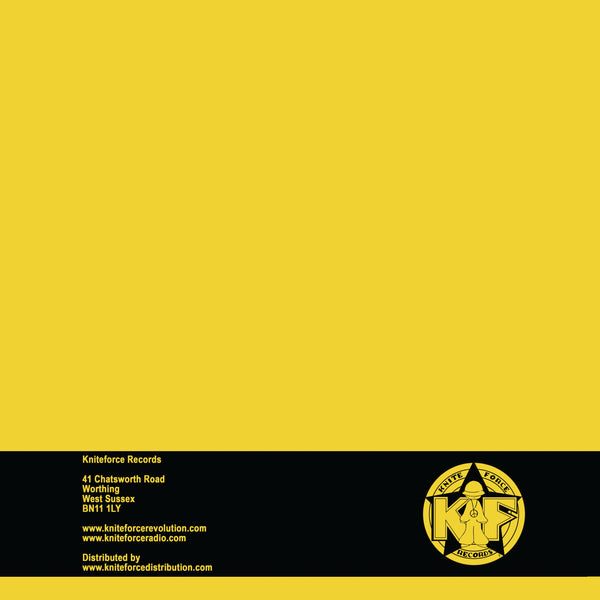 THE MOOG 'REMIX EP' 12"