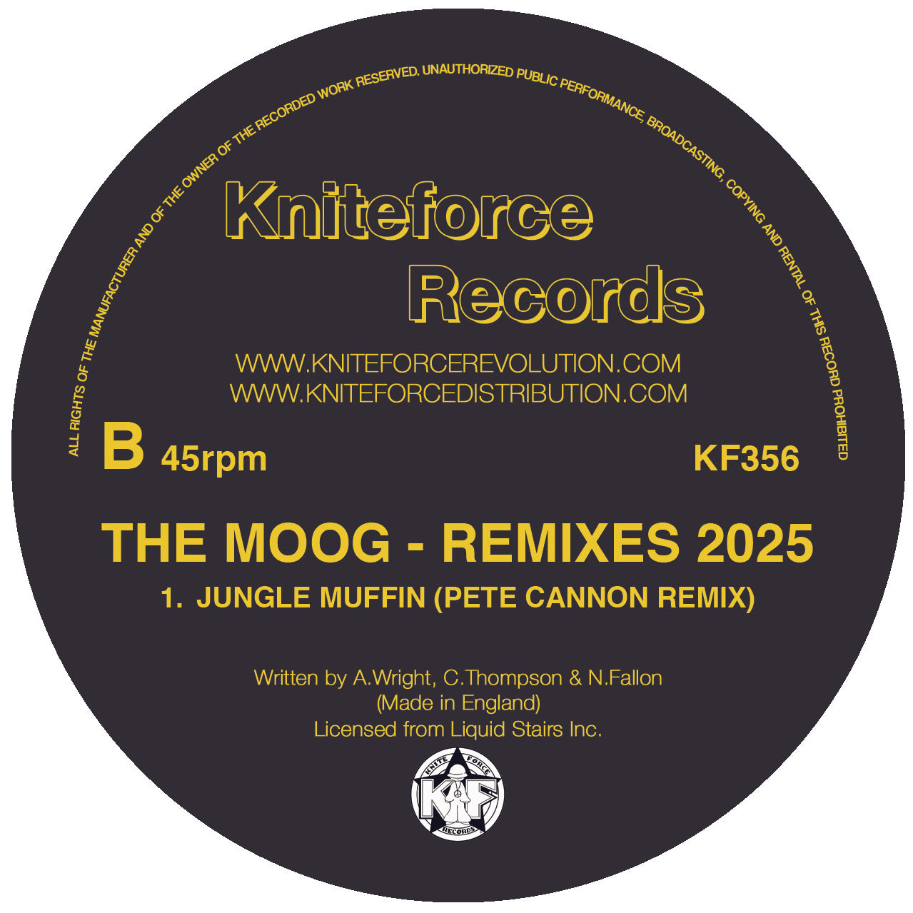 THE MOOG 'REMIXES 2025 EP' 12"