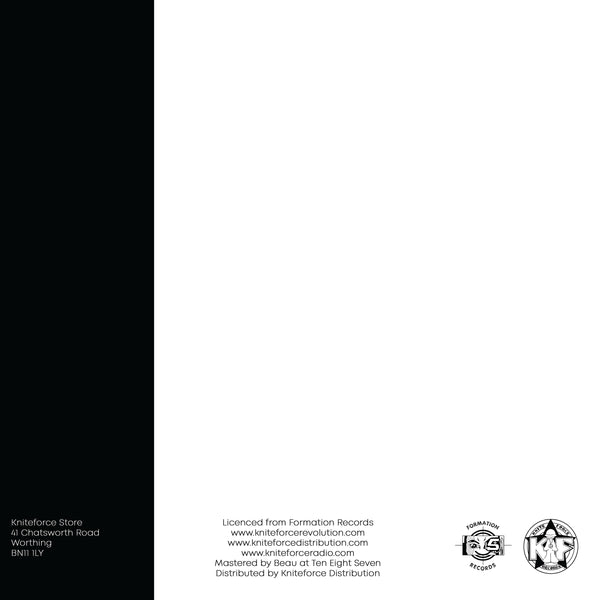 RHYTHMS FOR REASONS 'RHYTHMS FOR REASONS (REMIXES)' 12"