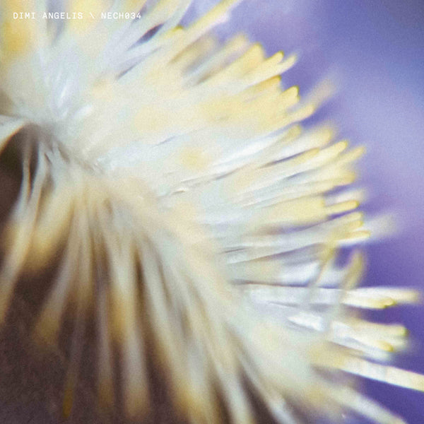 *PRE-ORDER* DIMI ANGELIS 'NECH034' 12"