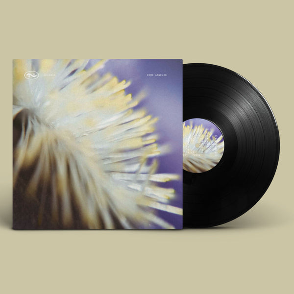 *PRE-ORDER* DIMI ANGELIS 'NECH034' 12"