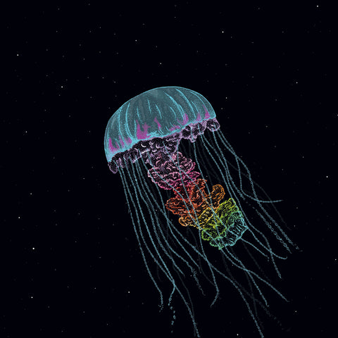 THE DROWNING WORLD 'PASSIVE MARGINS' 12"