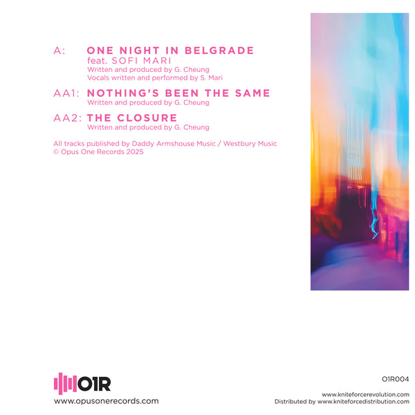 NOOKIE 'ONE NIGHT IN BELGRADE' 12"