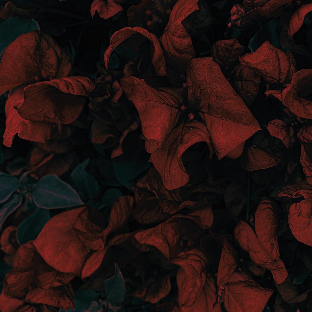 SKYLARK 'LOVE & HATE EP' 12" (RED WAX)