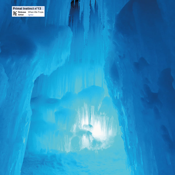IGNEZ 'WHEN WE FROZE' 12"