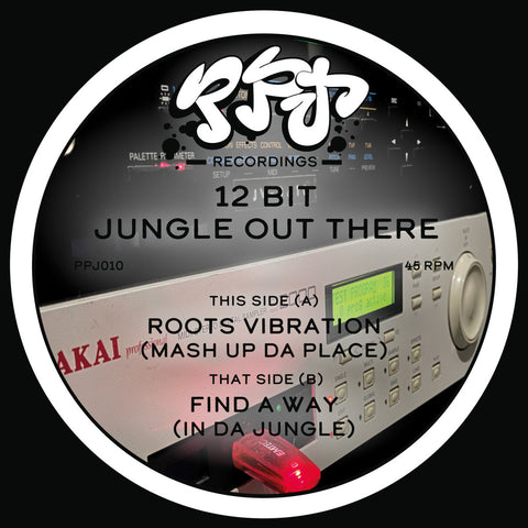 12-BIT JUNGLE OUT THERE 'ROOTS VIBRATION / FIND A WAY' 12"