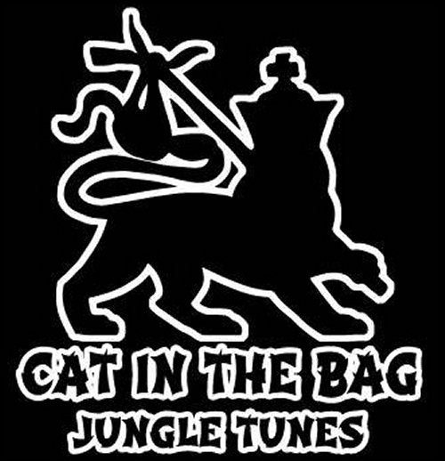 TOMMY THE CAT 'PARK SESSIONS LIMITED: SUNSET VIBES VOL. 2' 12"