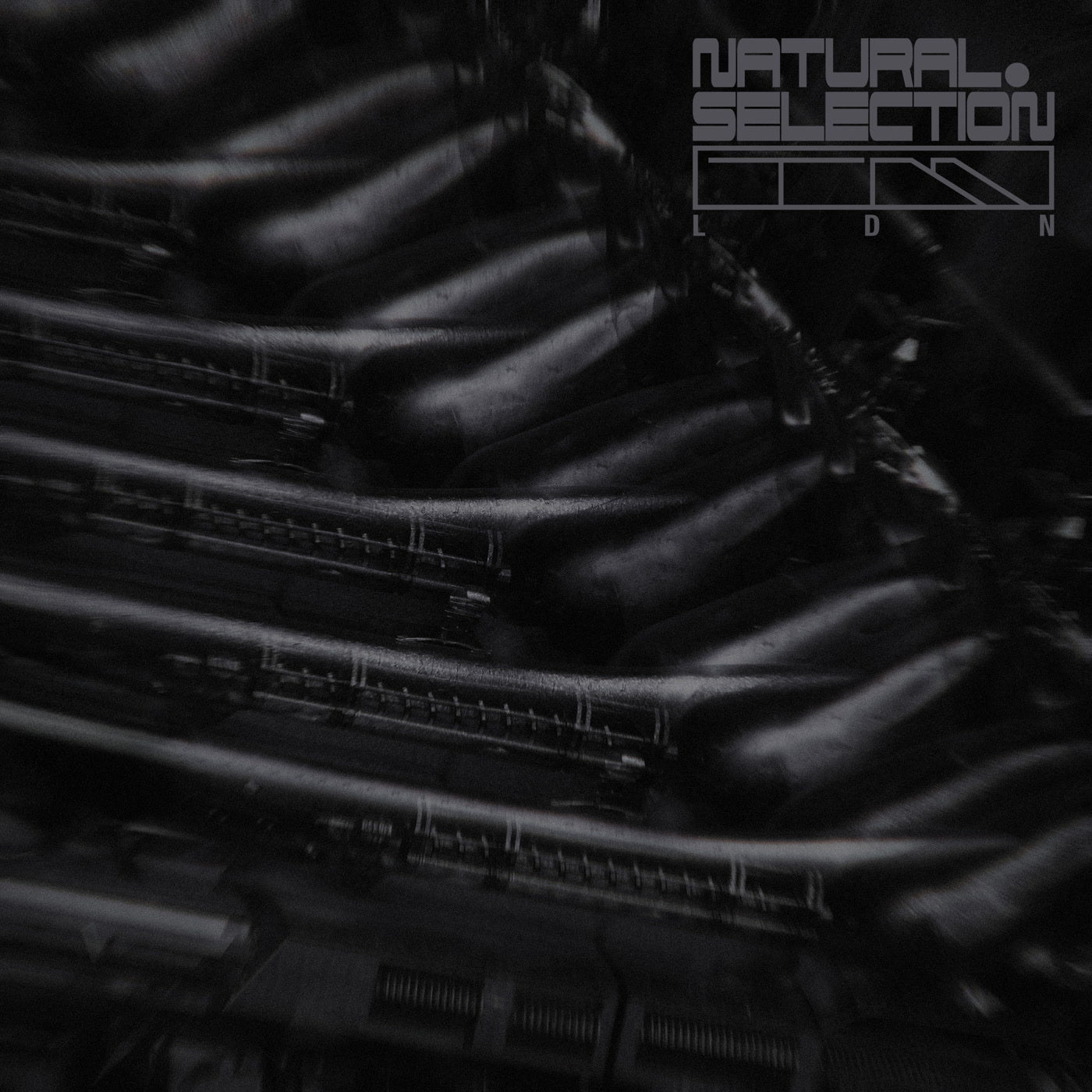 SWARM INTELLIGENCE 'RADIANCE EP' 12"