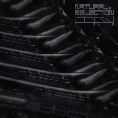 SWARM INTELLIGENCE 'RADIANCE EP' 12"