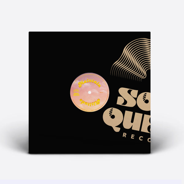 *PRE-ORDER* SOUL QUEST 'MAINTAIN ALTITUDE 2' 12"