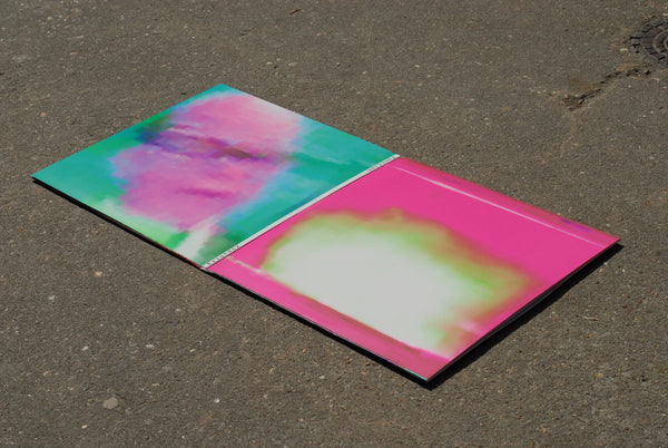 FUNCTION 'EXISTENZ' 4X12"