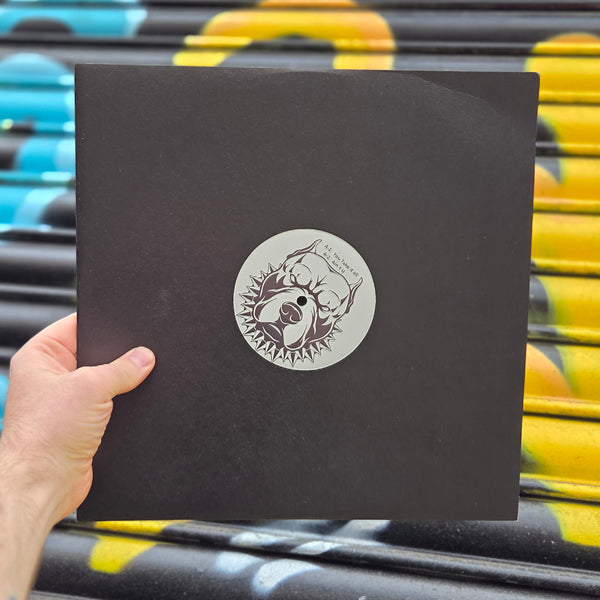 UNKNOWN 'YOU TAKE IT ALL' 12"