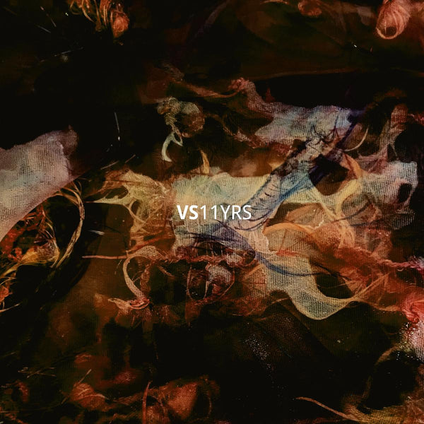 *PRE-ORDER* VARIOUS 'VAULT SESSIONS 11 YEARS' 5X12"