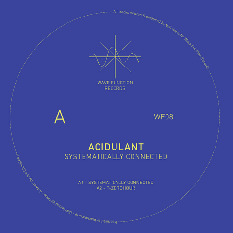 *PRE-ORDER* ACIDULANT 'SYSTEMATICALLY CONNECTED' 12"
