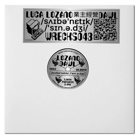 DAWL & LUCA LOZANO 'CYBERNETIK SYNERGY EP' 12"