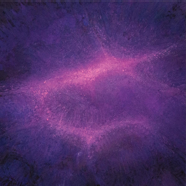 Sonic 'Embers' 2x12"