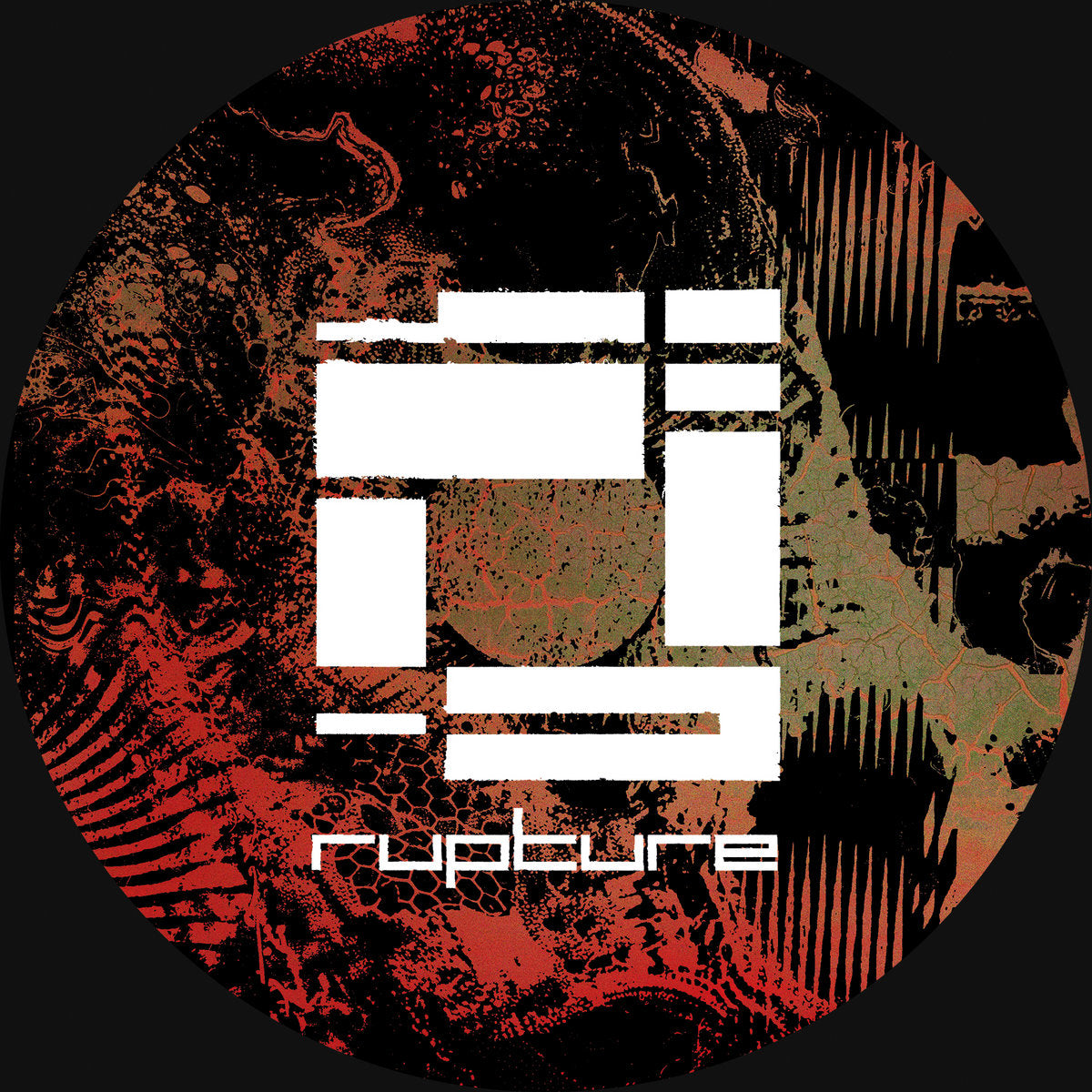 QUARTZ 'LUCID' 12"