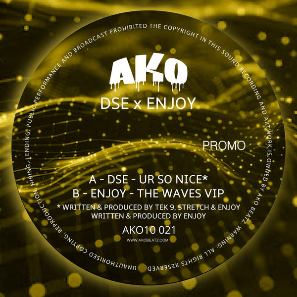 DSE & ENJOY 'UR SO NICE / THE WAVES VIP' 10"