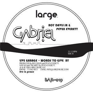 ROY DAVIS JR 'GABRIEL' 12"