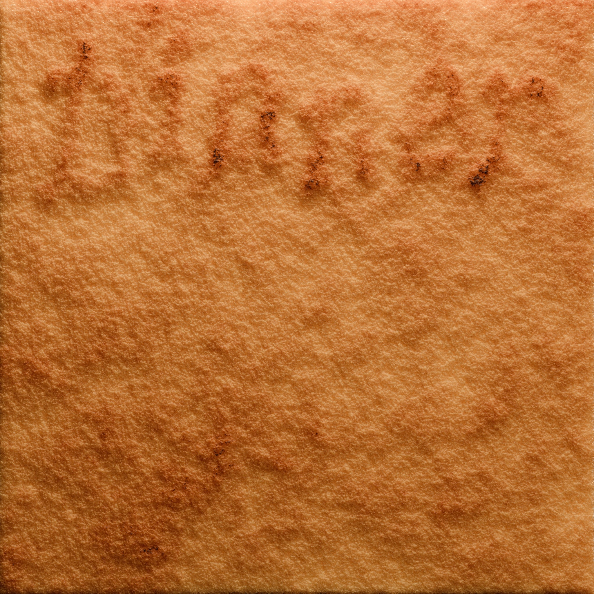 *PRE-ORDER* ROLROLROL 'DINNER' LP