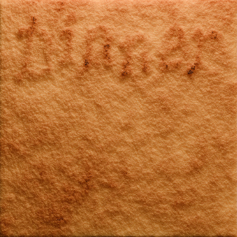 *PRE-ORDER* ROLROLROL 'DINNER' LP