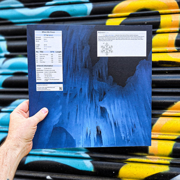 IGNEZ 'WHEN WE FROZE' 12"