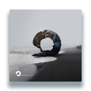 TECHNICAL ITCH 'FATE WALKER" 2LP