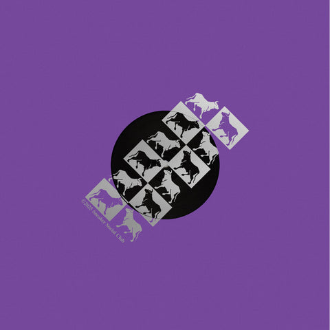 *PRE-ORDER* LOW END ACTIVIST 'MUNICIPAL DREAMS (REMIXES)' 12"