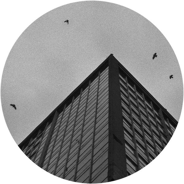 *PRE-ORDER* WZ 'ABANDONED ROOTS' 12"
